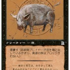 Muroi